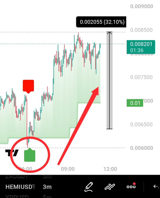 A 3-minute candlestick chart of $HEMIUSDT displays a bullish trend, showing a 32.10% price gain to 0.002055 with a highlighted green setup arrow indicating the post's claim of a successful long position recovery following an initial stop-loss hit.
