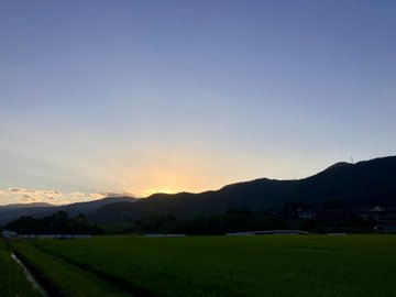 A serene sunset casts a warm glow over rice paddies and distant mountains as evening approaches, marking the end of a hot summer day. The peaceful rural landscape, with its open fields and silhouetted peaks, complements the post's tale of a laid-back holiday mixing morning runs, afternoon drinks, and eventual work amid abundant logs.
