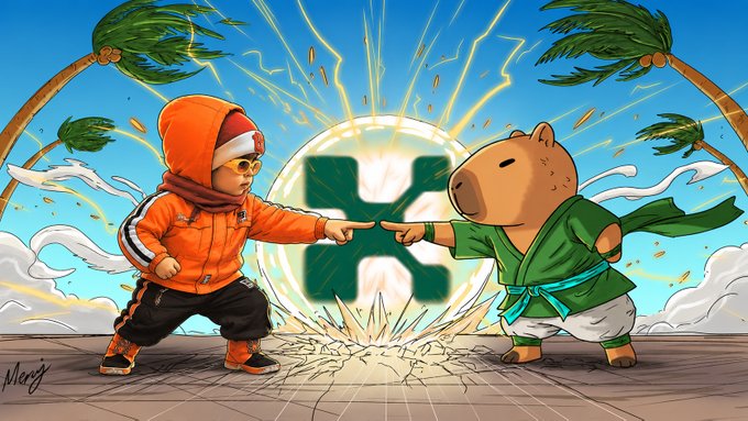 A colorful digital illustration depicting a character in an orange hoodie pointing fingers at a capybara dressed in a green martial arts robe, with a glowing green X-shaped symbol between them and palm trees in the background.