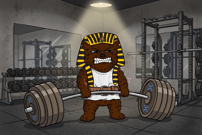 A cartoon illustration shows an anthropomorphic brown bear wearing a pharaoh headdress, lifting a heavy barbell in a gym filled with weights and equipment.