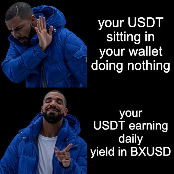 A two-panel Drake meme in a blue puffer jacket rejecting "your USDT sitting in your wallet doing nothing" and approving "your USDT earning daily yield in BXUSD," promoting the $BXUSD token as the obvious choice for putting idle USDT to work.
