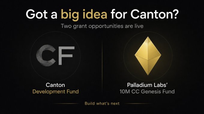A promotional graphic with a dark background advertises two live grant opportunities for Canton builders: the Canton Development Fund and Palladium Labs' 10M $CC Genesis Fund, featuring their respective logos beneath the headline "Got a big idea for Canton?" and the tagline "Build what's next."