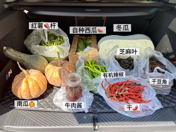 An open car trunk filled with fresh produce in plastic bags, including '红薯' (sweet potato), '自种西瓜' (homegrown watermelon), '冬瓜' (winter melon), '南瓜' (pumpkin), '牛肉酱' (beef sauce), '芝麻叶' (sesame leaves), '有机辣椒' (organic peppers), '干豆角' (dried beans), and '干' (dried).