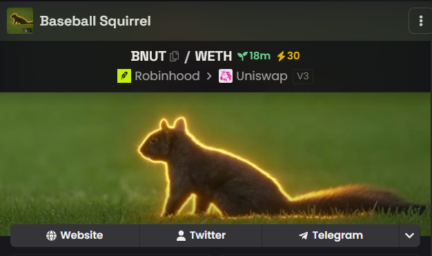 A coin listing for 'Baseball Squirrel' (BNUT/WETH) with 18m liquidity and 30 volume on Robinhood/Uniswap V3, featuring a photo of a squirrel outlined in glowing yellow.