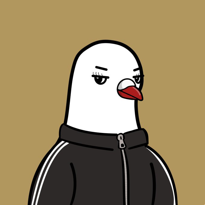 A cartoon illustration of a seagull with a stern expression wearing a black track jacket with a zipper, set against a tan background.