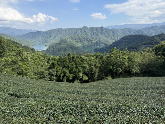 A scenic landscape view shows a green tea field in the foreground with a lake nestled among lush, rolling mountains under a partly cloudy blue sky.