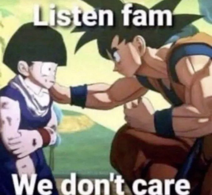 A Dragon Ball Z meme featuring Goku grabbing Videl's shoulders with the text 'Listen fam' at the top and 'We don't care' at the bottom.