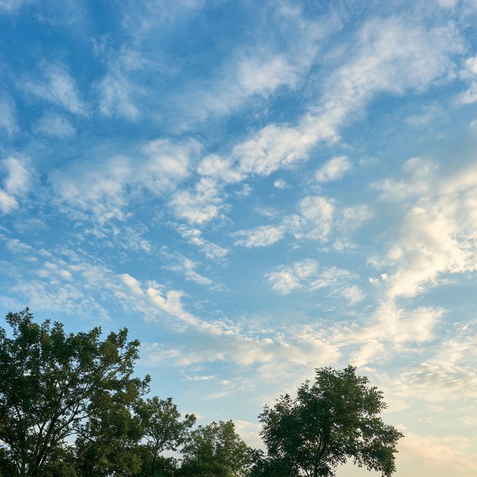 A photograph of a bright blue sky filled with scattered white clouds, with treetops visible along the bottom edge.