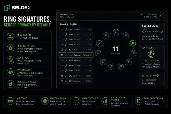 This infographic from Beldex (BDX) explains ring signatures and their role in providing sender privacy for cryptocurrency transactions, featuring a transaction hash of "893c...a709e2" with 11 ring members (10 decoys and 1 real input) and a ring size of 11. The graphic visually complements the post by illustrating how the signature proves ownership of one private key among multiple possibilities without revealing which one, emphasizing features like unlinkability, uniform rings, and statistical indistinguishability that make sender privacy the default rather than optional.