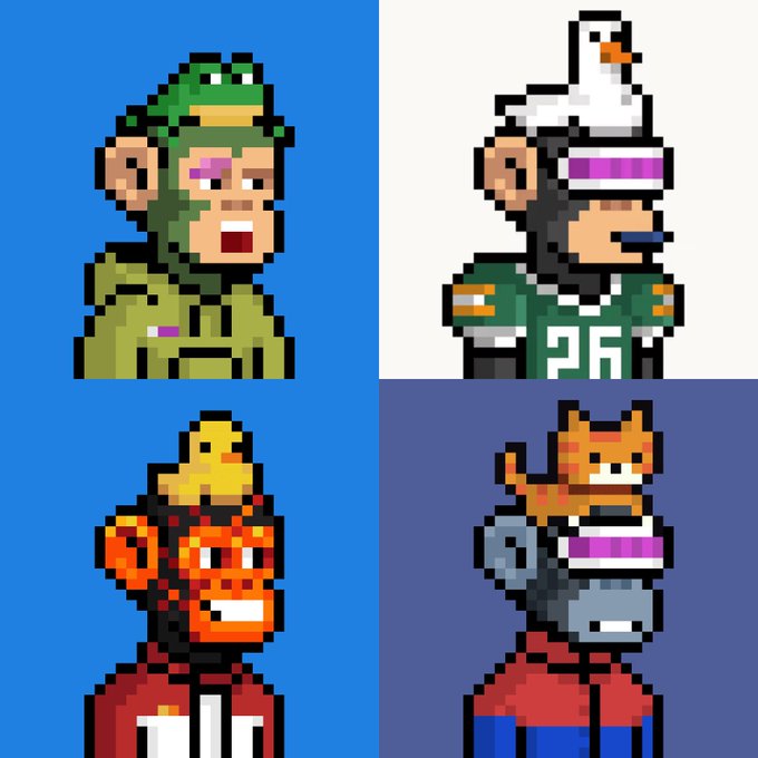 Four pixel-art monkey avatars from the Bored Ape Yacht Club NFT collection are displayed, each featuring a unique pet trait: a green frog on the head of the ape in green (top left), a white duck perched on the helmet of the ape in a green jersey (top right), a yellow chick on the head of the red/orange ape (bottom left), and an orange cat sitting atop the helmet of the blue ape (bottom right). The image illustrates the "pet traits" filter mentioned in the post, showcasing apes paired with their companion animals.