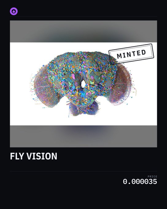A digital art listing titled 'FLY VISION' shows a colorful, mosaic-style brain image marked 'MINTED' with a price of 0.000035.