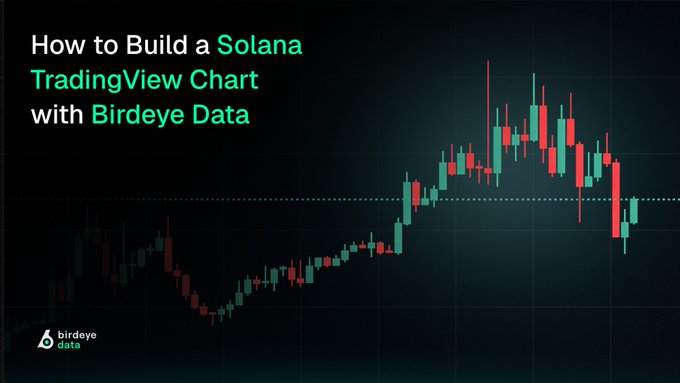 A dark-themed tutorial graphic titled 'How to Build a Solana TradingView Chart with Birdeye Data' featuring a candlestick chart and the Birdeye Data logo.