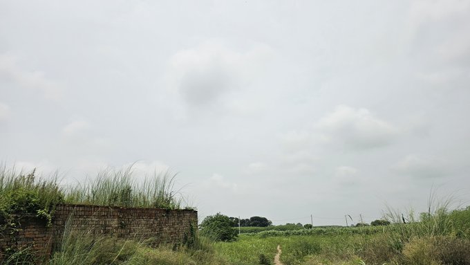 A rural dirt path winds through tall grasses beside an old brick wall under a hazy, overcast sky, capturing a quiet, peaceful morning that complements the cheerful "Good Morning Legends" and "Happy Taco Tuesday" greeting.