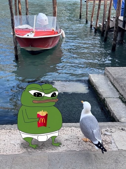 A seagull stands on stone steps looking at a digitally added cartoon Pepe the Frog character holding a McDonald's fries container, with a small red boat in the water behind them.