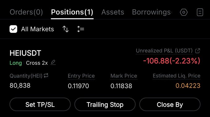 The image shows a Binance futures position tab displaying a leveraged long position on the **HEI/USDT** pair (80,838 units at 2x cross leverage), currently sitting on an unrealized loss of **-106.88 USDT (-2.23%)** with the mark price at 0.11838 against an entry of 0.11970. This screenshot illustrates the user actively holding their long $HEI thesis in real-time despite being slightly underwater, reinforcing the post's argument of betting against shorts with a thin float.