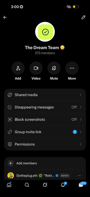 A mobile phone screenshot of a Telegram group chat called 'The Dream Team' with 273 members, showing options like Add, Video, Mute, and More.