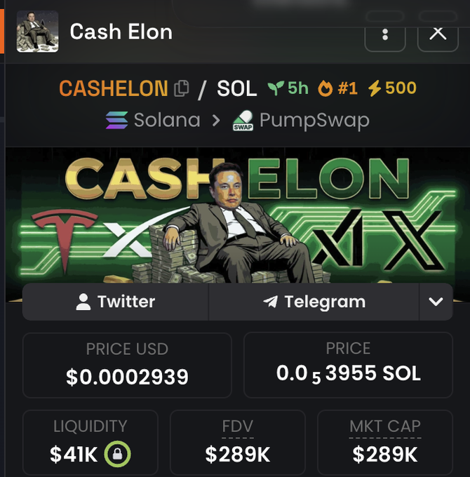 Screenshot of a cryptocurrency tracker page for a token called 'Cash Elon' (CASHELON/SOL) on PumpSwap, showing a price of $0.0002939, FDV and market cap of $289K, and a graphic of Elon Musk sitting on cash with Tesla and X logos.