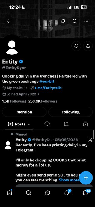 A mobile screenshot shows the Twitter/X profile of 'Entity' (@EntityDyor), which has 1.5K Following and 253.9K Followers, with a pinned post stating 'Recently, I've been printing daily in my Telegram.'