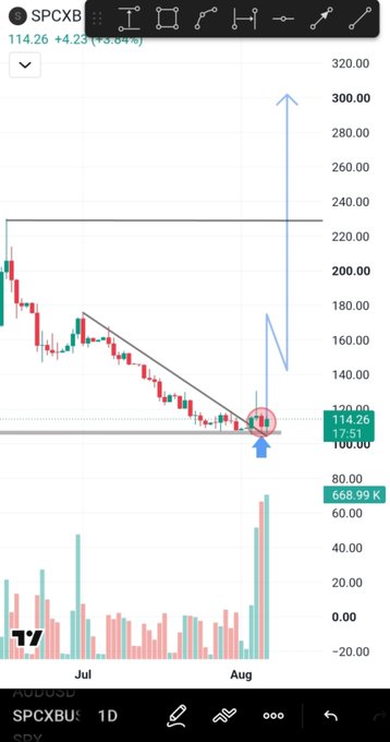 A TradingView chart of SPCXB showing a price of 114.26 (+4.23, +3.84%), with annotations indicating a breakout above a descending trendline and a projected move toward the 300 price level.