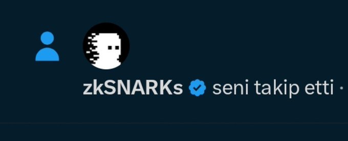 A notification showing that the verified account 'zkSNARKs' (with a pixel-art face profile picture) has started following the user, with Turkish text 'seni takip etti'.