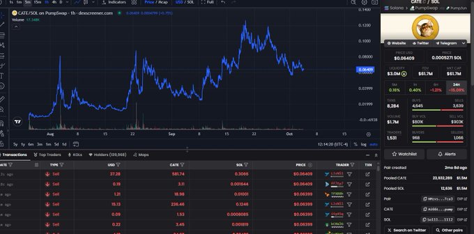A cryptocurrency trading chart for CATE/SOL on PumpSwap is displayed, showing price action and a wallet containing 0.0005271 SOL with a profile image of a cartoon character.