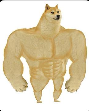 A muscular, bodybuilder-style Shiba Inu dog (Swole Doge) stands prominently against a white background, visually embodying the "SwoleDoge" crypto meme referenced in the post. This iconic doge image directly ties to the $Swoge and #ElonLikedSwoleDoge hashtags being promoted alongside tags for Elon and RobinhoodCrypto.