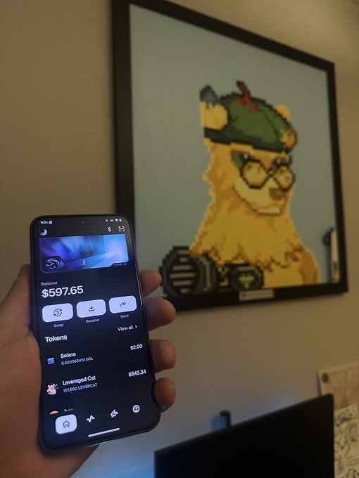 A hand holds a smartphone displaying a crypto wallet app with a balance of $597.65 and tokens including Solana and Levenged Cat ($543.34), with a framed pixel art picture of a dog visible in the background.