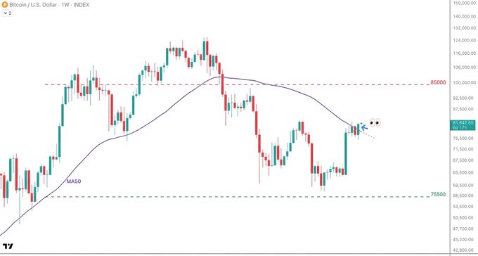 A Bitcoin/U.S. Dollar weekly chart from TradingView showing price action around 81,100 with the MA50 moving average and key resistance at 85,000 and support at 75,500 marked.