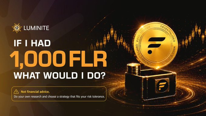 A promotional graphic from Luminite asking "IF I HAD 1,000 FLR WHAT WOULD I DO?" alongside an illustration of a Flare (FLR) coin emerging from a glowing chest, accompanied by a disclaimer that it is not financial advice and encouraging viewers to do their own research.
