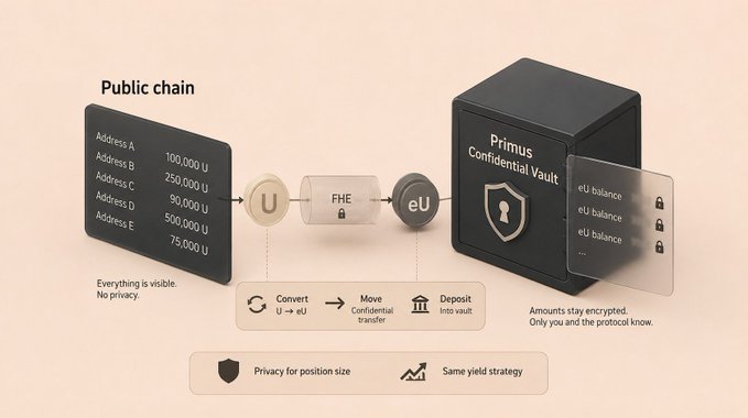 A diagram explaining a 'Primus Confidential Vault' process, showing 'Public chain' addresses converting U to eU via 'FHE' and moving 'Confidential transfer' into a secure vault where 'Amounts stay encrypted. Only you and the protocol know.'