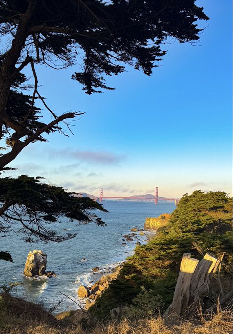 A scenic landscape view of the Golden Gate Bridge framed by cypress trees, overlooking the ocean and rocky coastline in San Francisco.