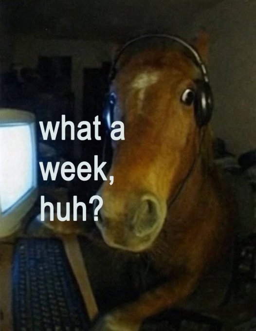 A meme featuring a horse wearing headphones sitting at a computer, with the text 'what a week, huh?'.