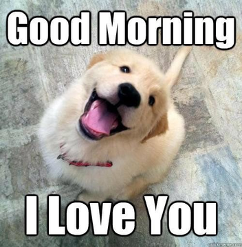 A happy golden retriever puppy looking up with an open mouth on a stone surface, overlaid with the text 'Good Morning I Love You.'
