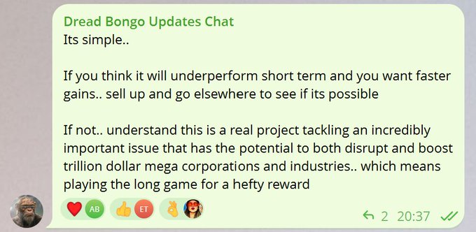 A Telegram chat screenshot from 'Dread Bongo Updates Chat' discusses investment strategy, advising patience for long-term rewards rather than seeking short-term gains.