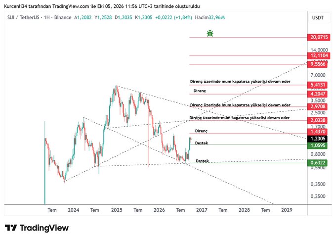 A TradingView 1-hour candlestick chart of SUI/TetherUS (SUIUSDT) on Binance shows the price recovering around $1.2082, with key technical levels marked including supports at $1.0595 and $0.6322, and resistances at $1.2305, $1.4370, $2.0338, $2.9708, $3.5000, $4.2047, $5.4131, and targets extending up to $20.0715, corresponding to the post's analysis of SUI attempting to reclaim $1.0595 as support and targeting $1.4370, $2.0338, and $2.9708 as upside milestones.