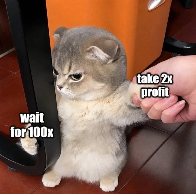 A grumpy-looking cat holds one paw back against a black object labeled "wait for 100x" while extending the other paw to shake a human hand labeled "take 2x profit." The meme humorously captures the post's sentiment about refusing modest returns in pursuit of massive gains, with the cat choosing to hold out for 100x instead of settling for a 2x profit.