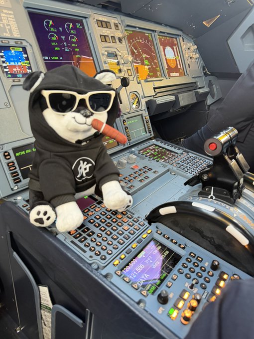 A plush panda toy wearing sunglasses and a hoodie with 'KP' logo, sitting on an aircraft cockpit control panel.