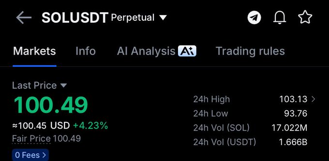 A cryptocurrency trading screen displays the SOLUSDT Perpetual pair at a Last Price of 100.49 (≈100.45 USD, +4.23%), with a 24h High of 103.13 and 24h Low of 93.76.