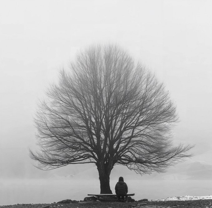 Black and white photograph of a solitary person sitting on a bench beneath a large bare tree, surrounded by misty atmospheric surroundings.