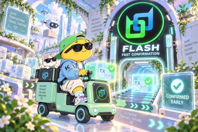An illustrated promotional image for 'FLASH FAST CONFIRMATION' featuring a character in a green outfit driving a cart with a cat, alongside text emphasizing privacy and faster transactions.