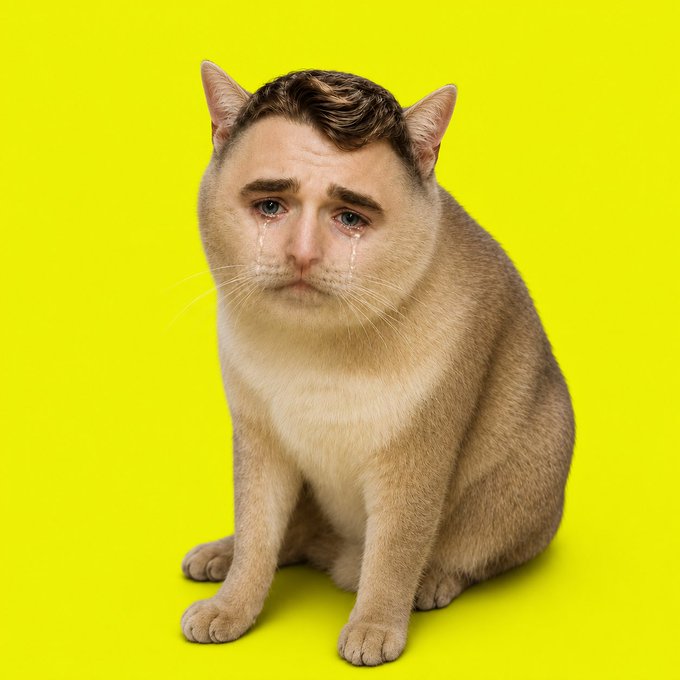 A cream-colored cat with a human male's sorrowful face and tears superimposed sits against a bright yellow background, humorously embodying the post's dramatic "Fuck everything" sentiment as part of the $KIRKCAT launch promotion on Robinhood chain.