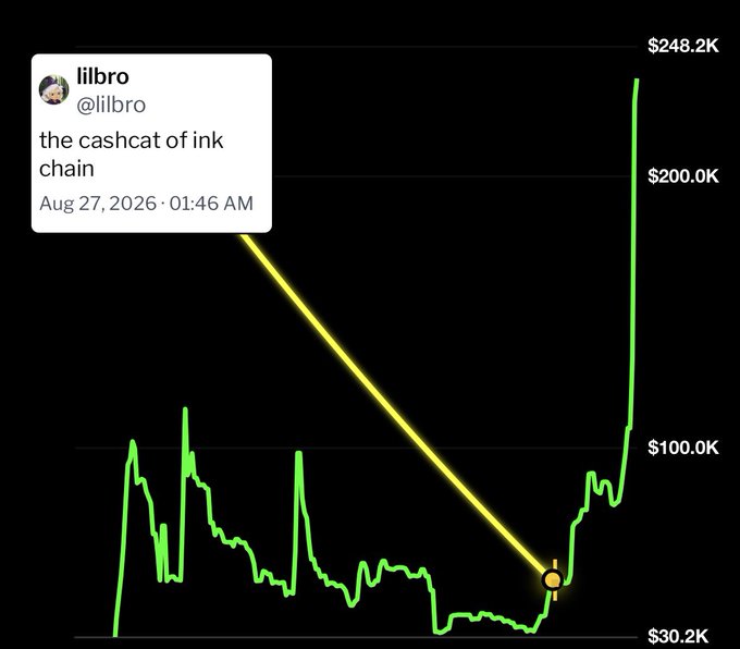 A price chart showing a dramatic spike to $248.2K, with a tweet from 'lilbro' dated 'Aug 27, 2026' saying 'the cashcat of ink chain'.