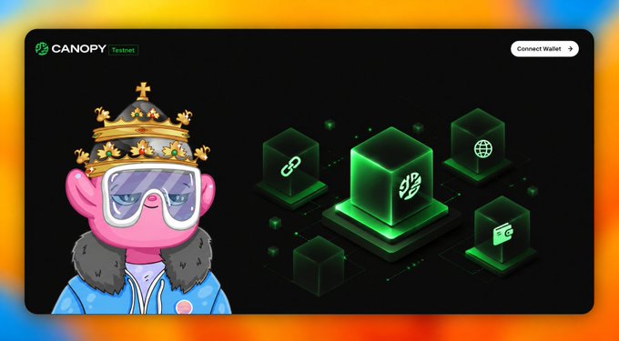 A screenshot of the Canopy Testnet platform featuring a crowned monkey mascot wearing ski goggles alongside glowing green cube icons representing different chains, with "CANOPY Testnet" branding and a "Connect Wallet" button visible, illustrating the accessible testnet interface the user found easy to navigate.