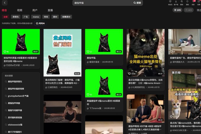 A Chinese social media search results page displaying various videos and memes, predominantly featuring cats and meme-related content.
