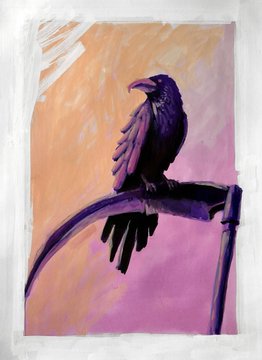A painted illustration of a black crow perched on a curved branch, set against an orange and pink background.