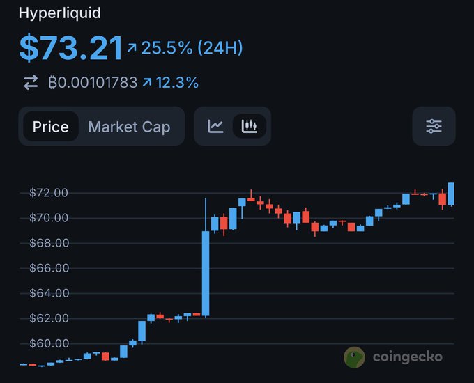 A CoinGecko price chart shows Hyperliquid ($HYPE) trading at $73.21, up 25.5% in 24 hours, illustrating a dramatic surge from the $14 price level mentioned in the post. The candlestick chart reveals the token's sharp breakout from around $62 to over $70 in a single candle.