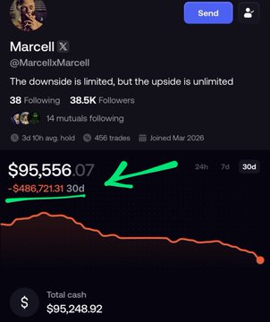 Marcell's profile displays a massive $486,721.31 loss over 30 days, reducing his value to $95,556.07, visually illustrating the "downside" mentioned in his bio while the chart trends sharply downward.