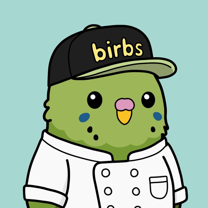 A cartoon illustration of a green bird character wearing a white chef's coat and a black cap with 'birbs' written on it, set against a light blue background.