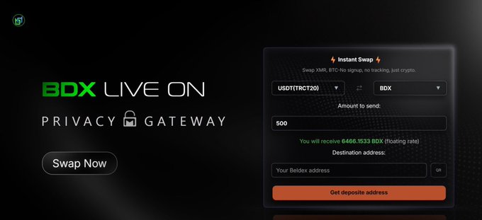 BDX Live On Privacy Gateway promotional screen featuring an Instant Swap interface for trading USDT (TRC20) for BDX tokens with 6466.1533 BDX shown as the return.