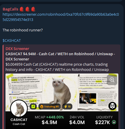 A DEX Screener screenshot shows $CASHCAT (Cash Cat) trending #1 on Robinhood/Uniswap with a $4.94M market cap, up 448% in 24 hours, alongside a post caption highlighting the token as a "runner" from "5M to 100M." The image visually reinforces the post's excitement about CASHCAT's dramatic price surge.